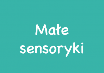Małe sensoryki